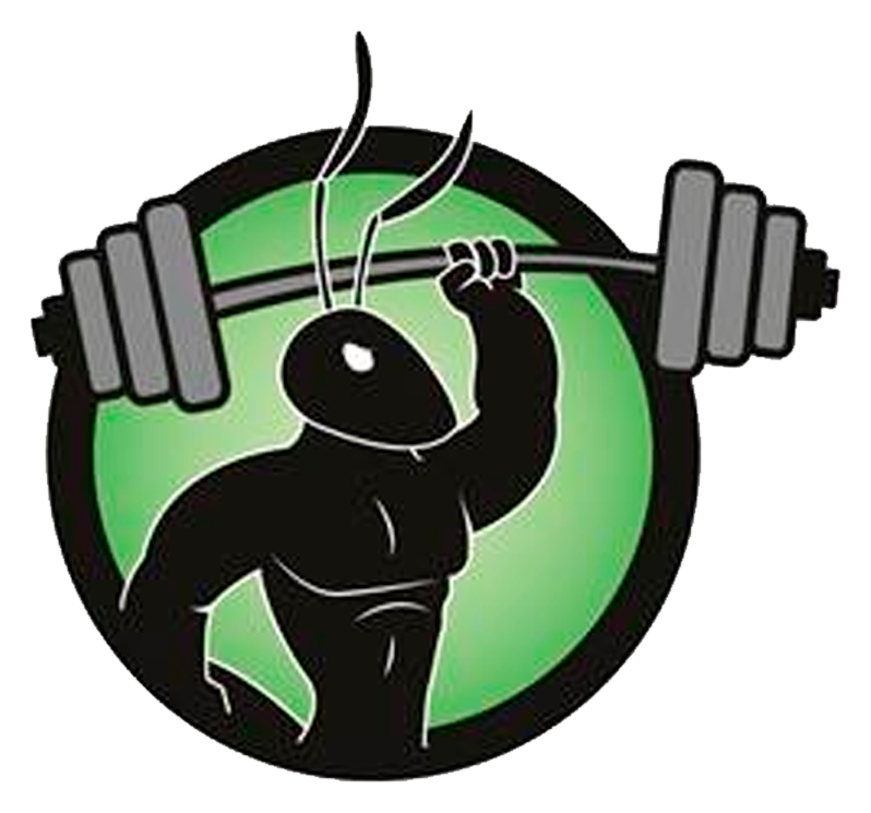 Logo Gym Jazar